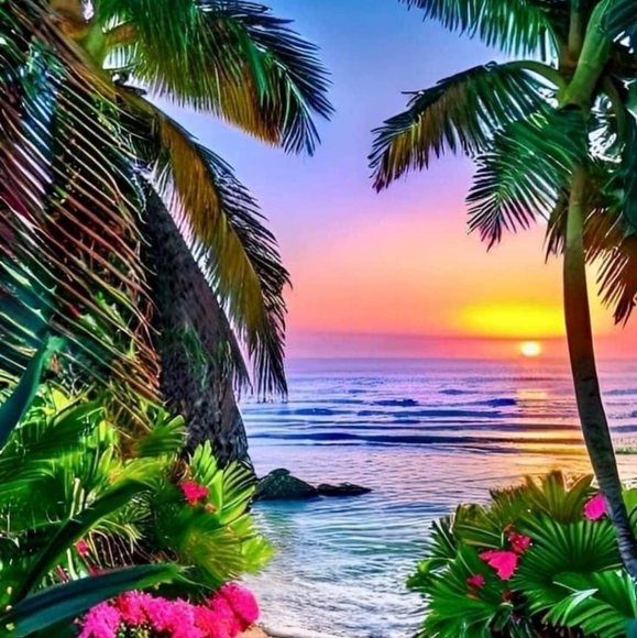 Meet your Posher, Charlee Dawn - Picture 4 of 7